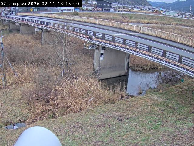 最新監視カメラ画像