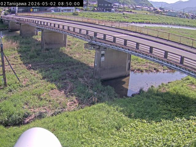最新監視カメラ画像
