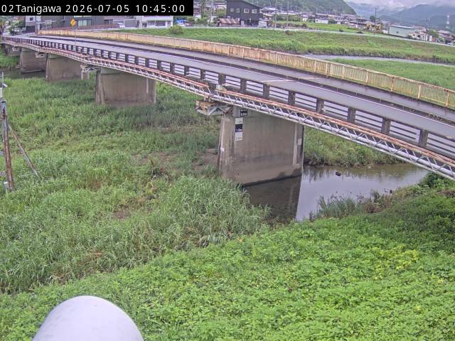 最新監視カメラ画像