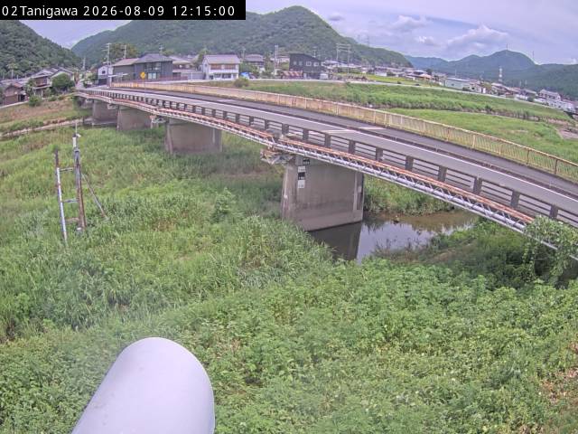 最新監視カメラ画像