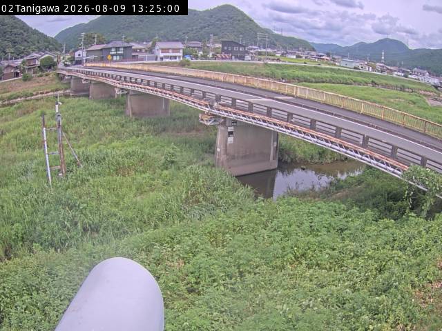 最新監視カメラ画像