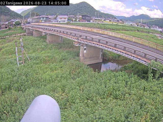 最新監視カメラ画像