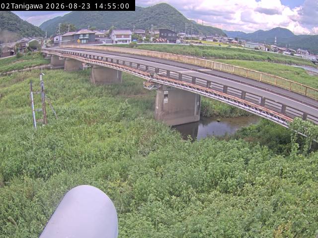最新監視カメラ画像