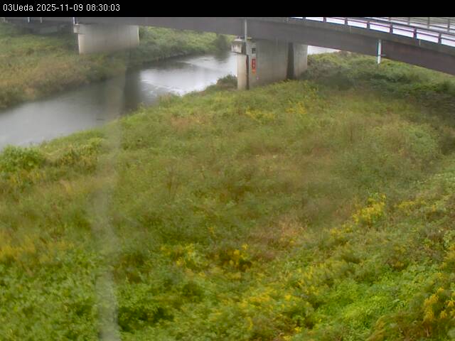 最新監視カメラ画像