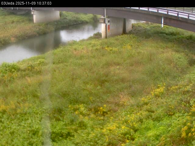 最新監視カメラ画像