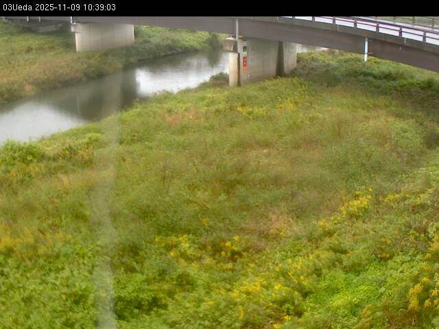 最新監視カメラ画像