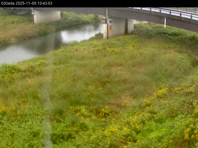 最新監視カメラ画像