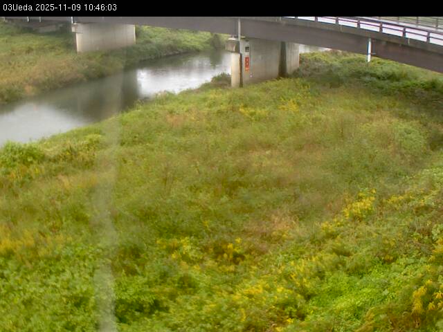 最新監視カメラ画像