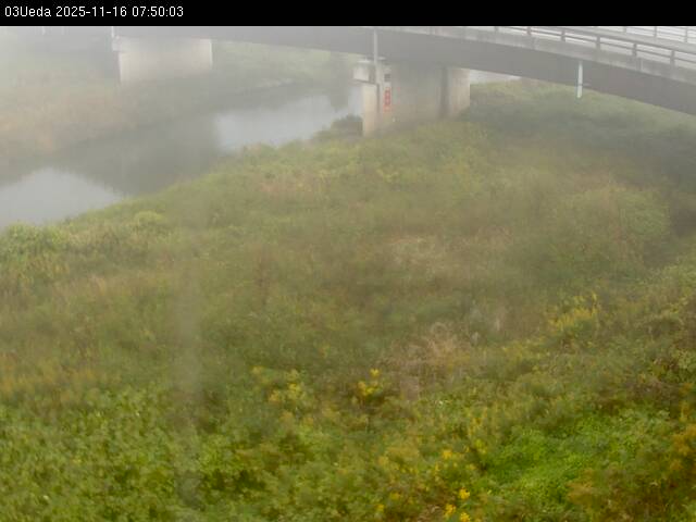 最新監視カメラ画像