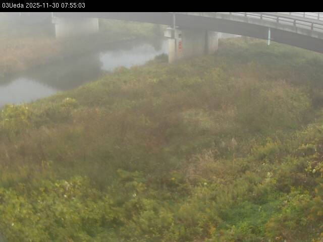 最新監視カメラ画像