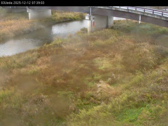 最新監視カメラ画像