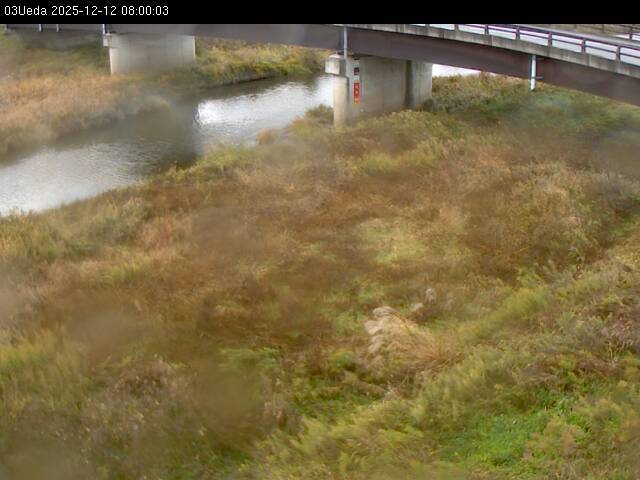 最新監視カメラ画像