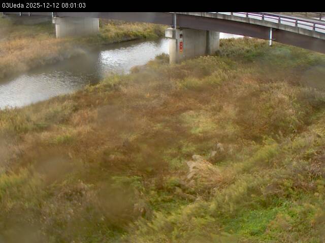 最新監視カメラ画像