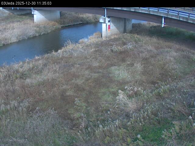 最新監視カメラ画像