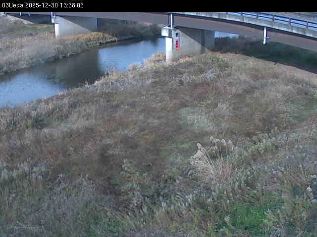 最新監視カメラ画像