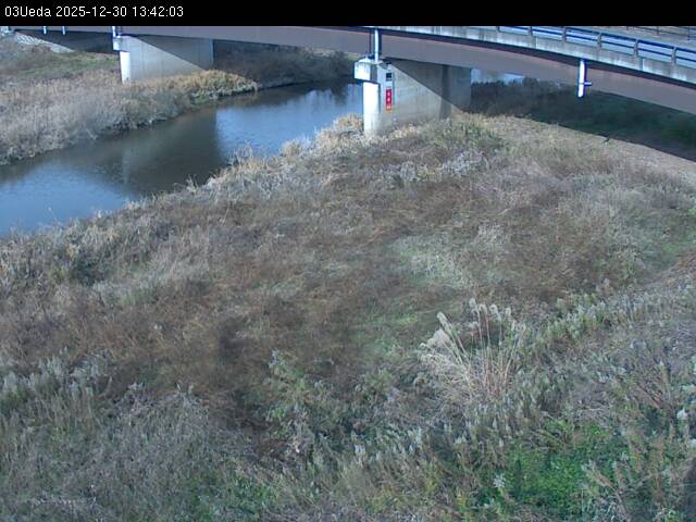 最新監視カメラ画像