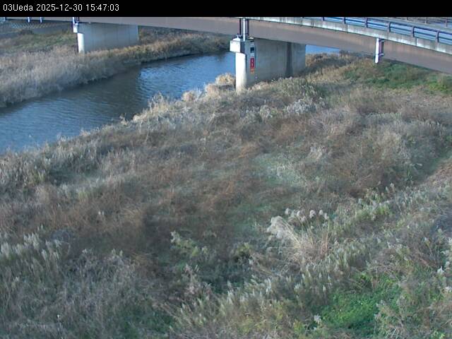 最新監視カメラ画像