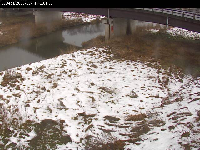 最新監視カメラ画像