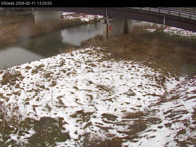 最新監視カメラ画像