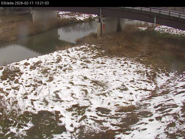 最新監視カメラ画像