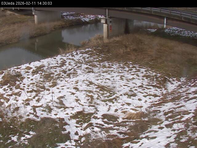 最新監視カメラ画像