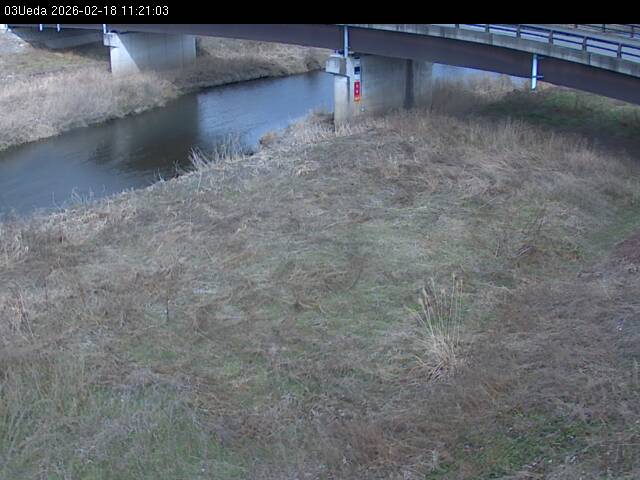 最新監視カメラ画像