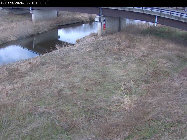 最新監視カメラ画像