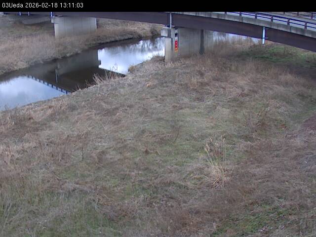 最新監視カメラ画像