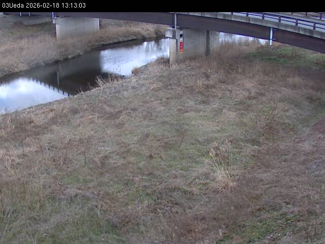 最新監視カメラ画像