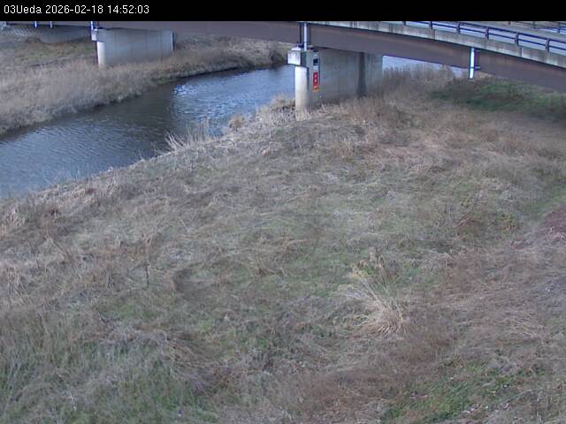 最新監視カメラ画像