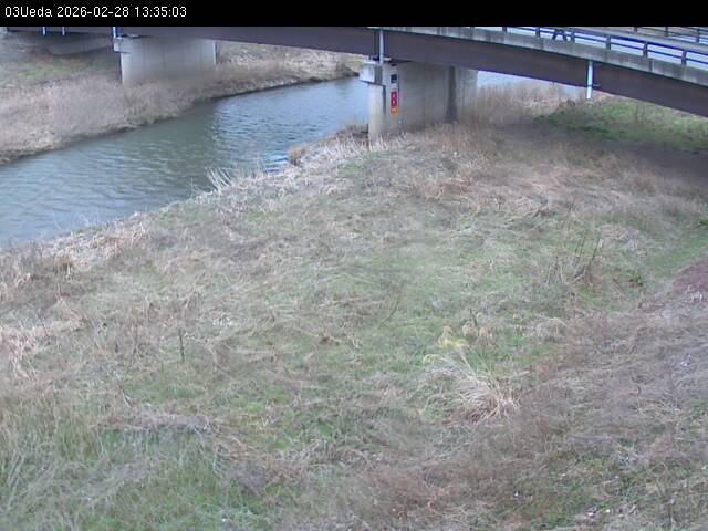 最新監視カメラ画像