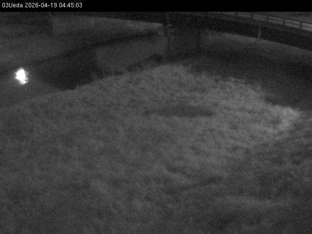 最新監視カメラ画像