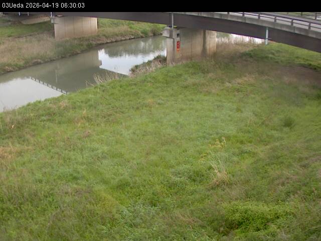 最新監視カメラ画像