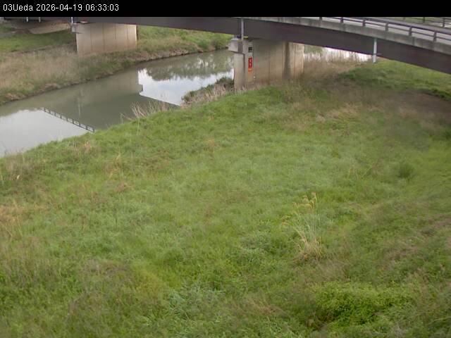 最新監視カメラ画像