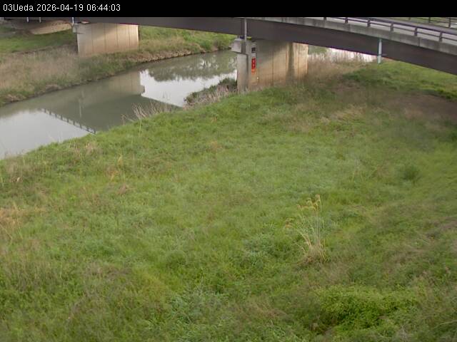 最新監視カメラ画像