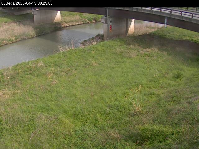 最新監視カメラ画像