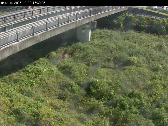 最新監視カメラ画像