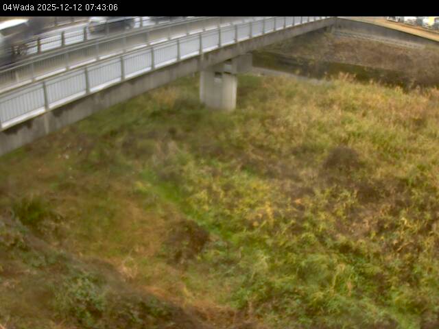 最新監視カメラ画像