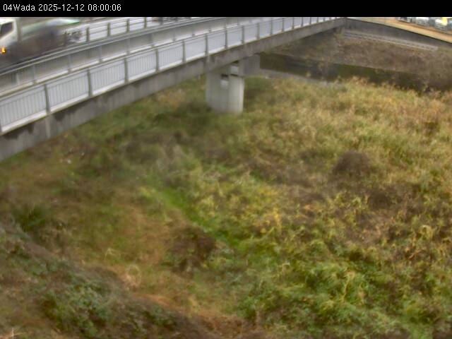 最新監視カメラ画像