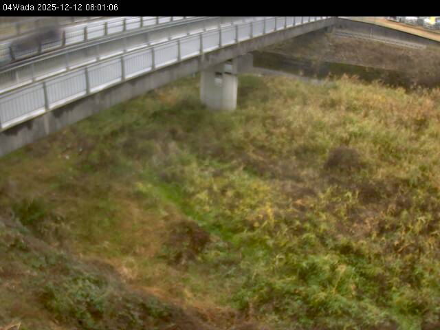 最新監視カメラ画像