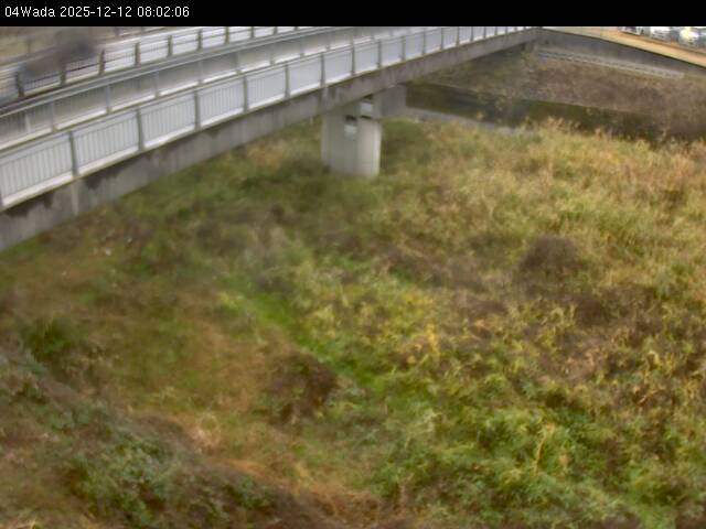 最新監視カメラ画像