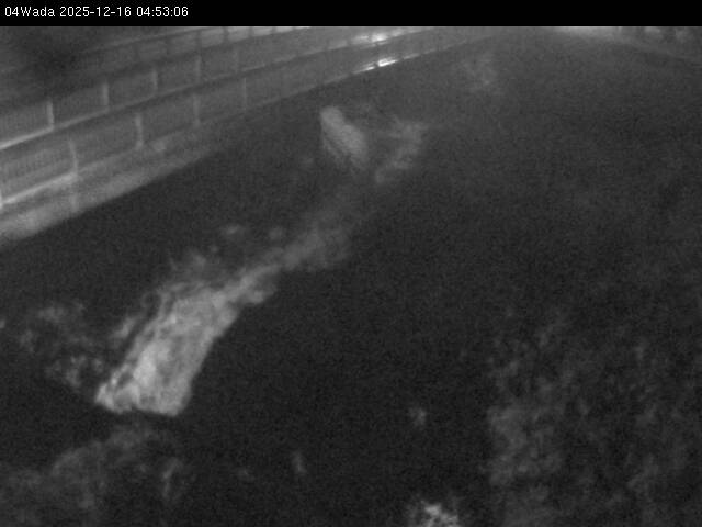 最新監視カメラ画像