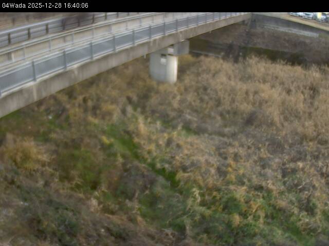 最新監視カメラ画像