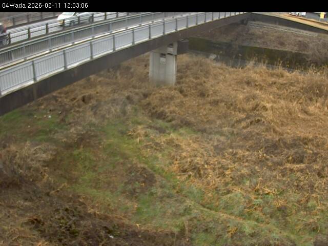 最新監視カメラ画像