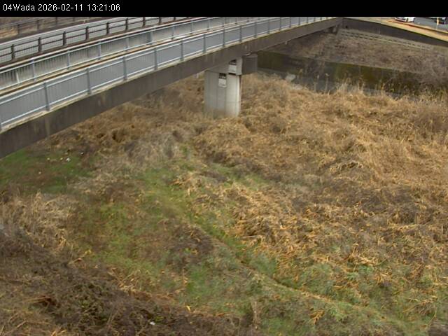 最新監視カメラ画像