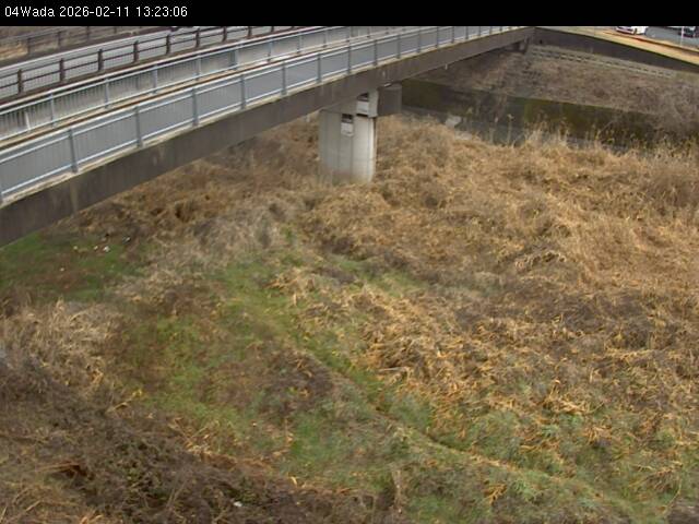 最新監視カメラ画像