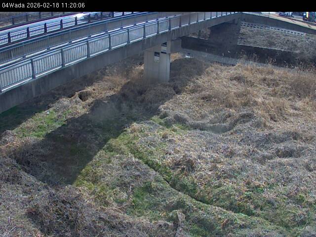 最新監視カメラ画像