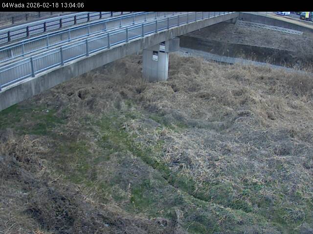 最新監視カメラ画像