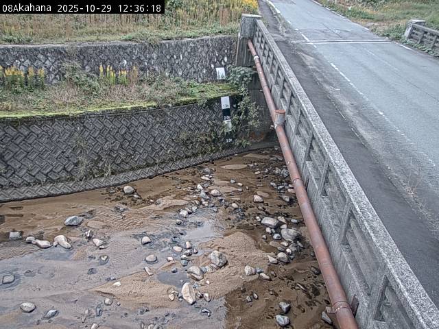 最新監視カメラ画像