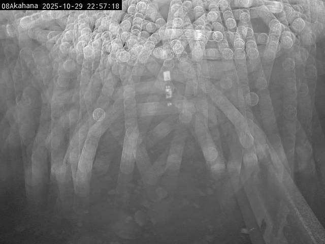 最新監視カメラ画像